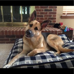 Meet your Posher, Jeffrey